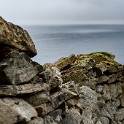 Shetland 613 come oggetto avanzato-1 copia